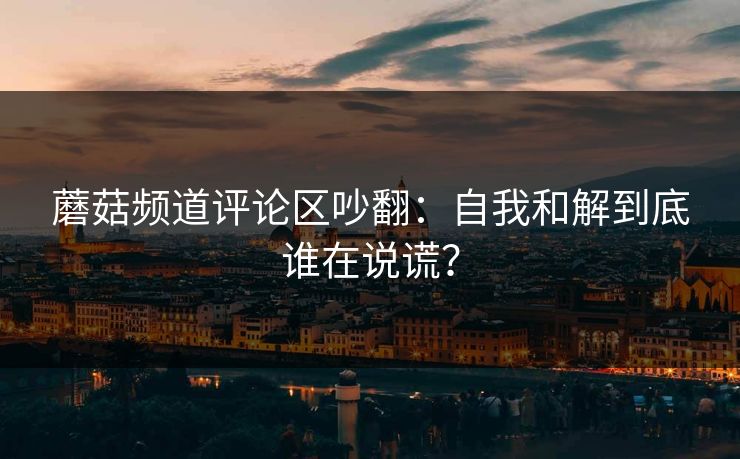 蘑菇频道评论区吵翻：自我和解到底谁在说谎？