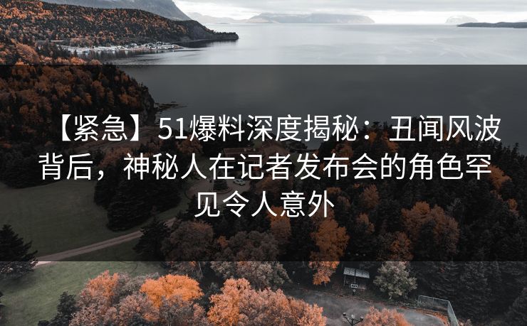 【紧急】51爆料深度揭秘：丑闻风波背后，神秘人在记者发布会的角色罕见令人意外