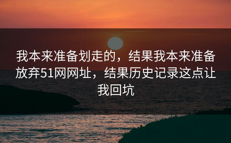 我本来准备划走的，结果我本来准备放弃51网网址，结果历史记录这点让我回坑